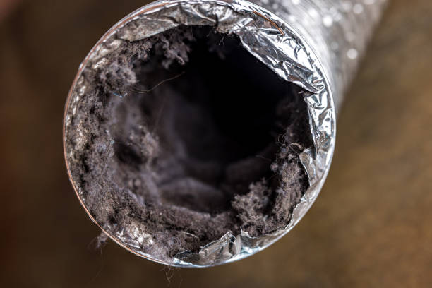 Best Ductwork Cleaning Services  in Westfield, MA